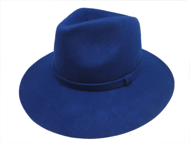 Sombrero de invierno