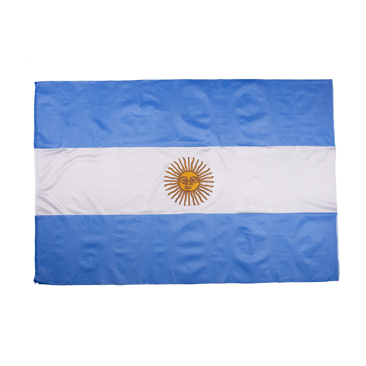 Álbumes 18+ Foto bandera de la seleccion argentina Cena hermosa